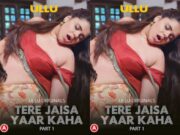 Tere Jaisa Yaar Kaha – Part 1 Episode 2